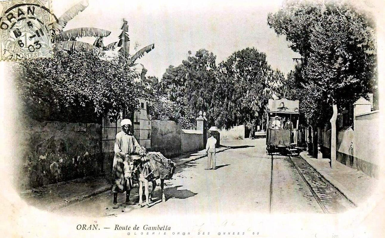 Oran - Route de Gambetta - 1903.jpg